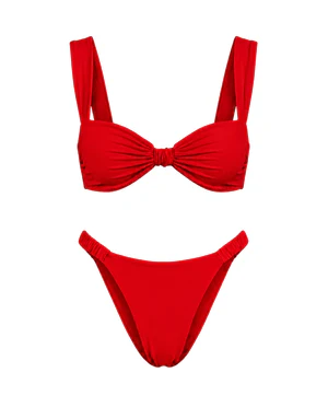 Bikini de Claudia liso y llamativo